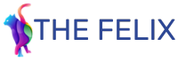 Logo The Felix WebServices - Votre prestataire de service vers la transition digitale